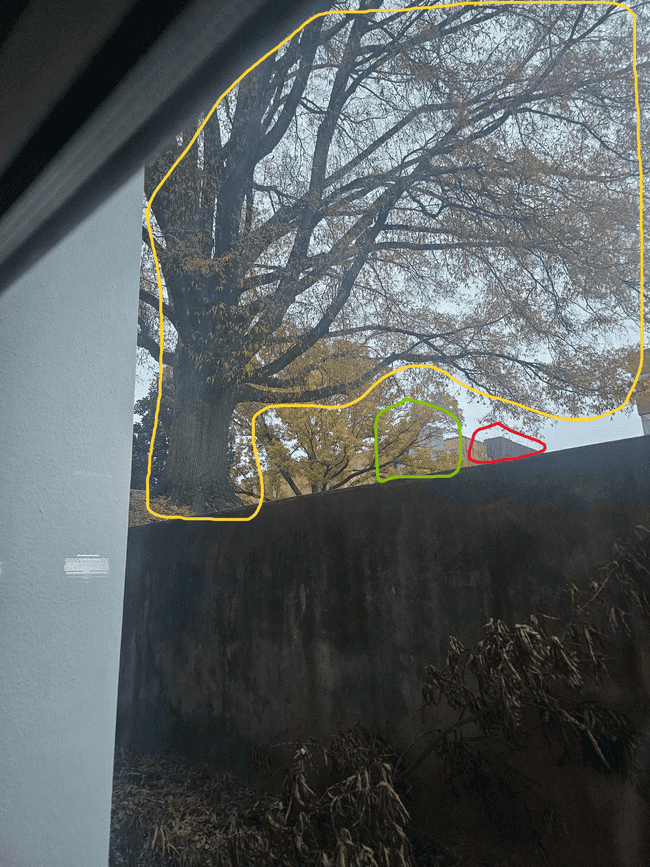 Determining capture building