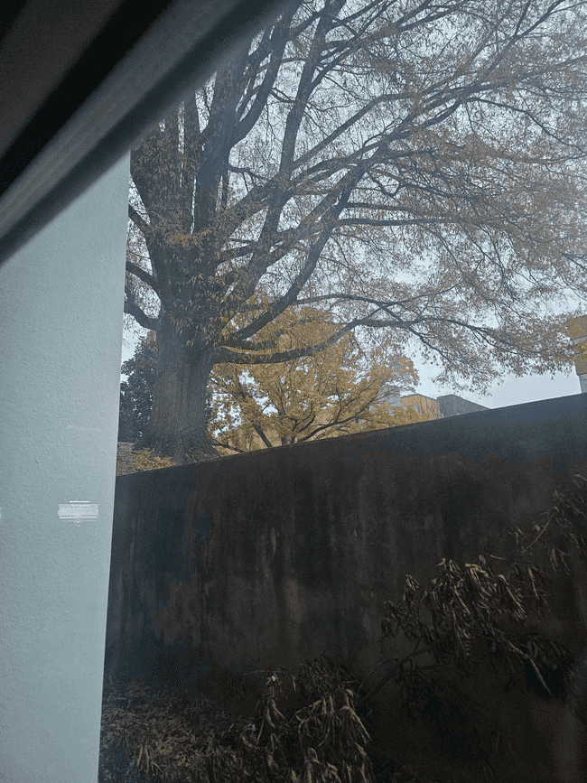 Initial search result